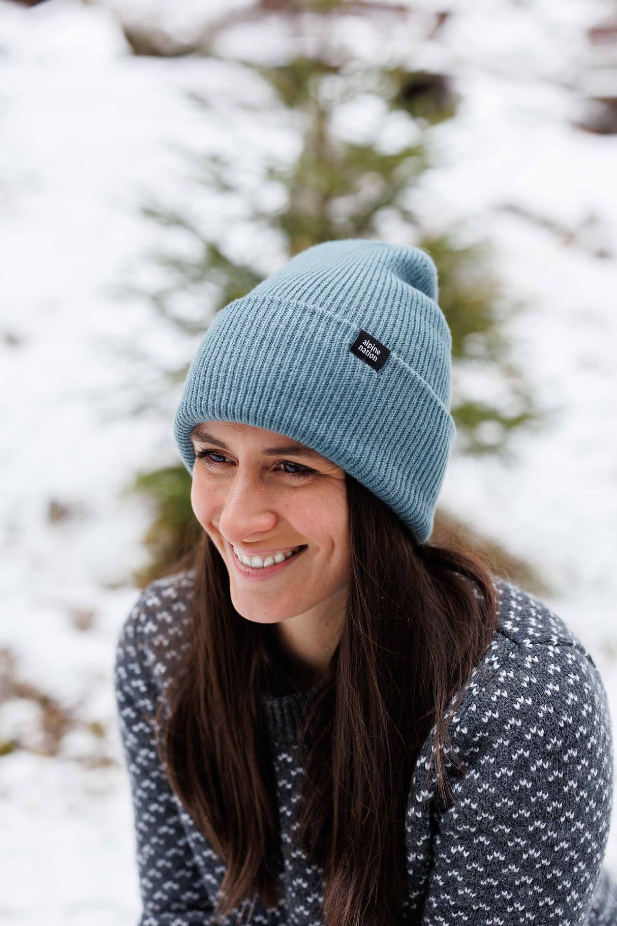 Explorer Beanie - Mist