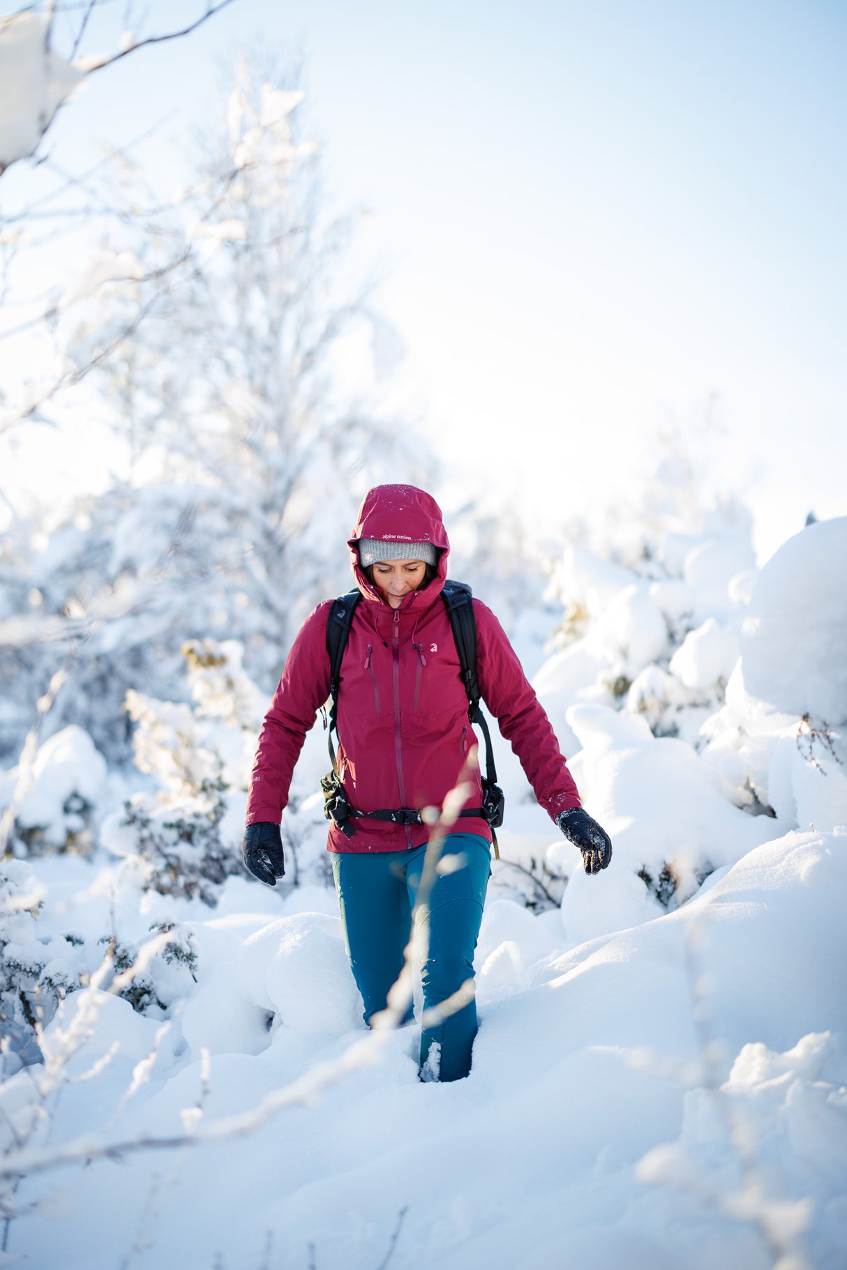 Nimbus Shelljacke - Nebula