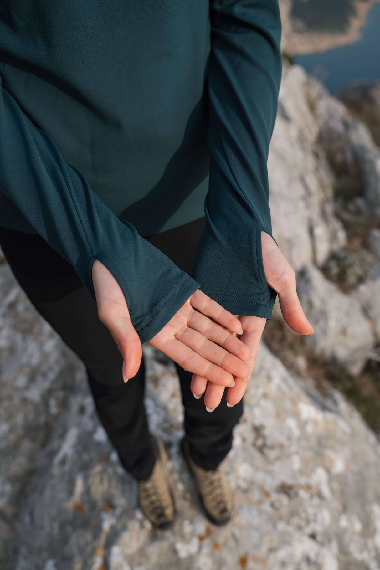 Momentum puli Deep Forest