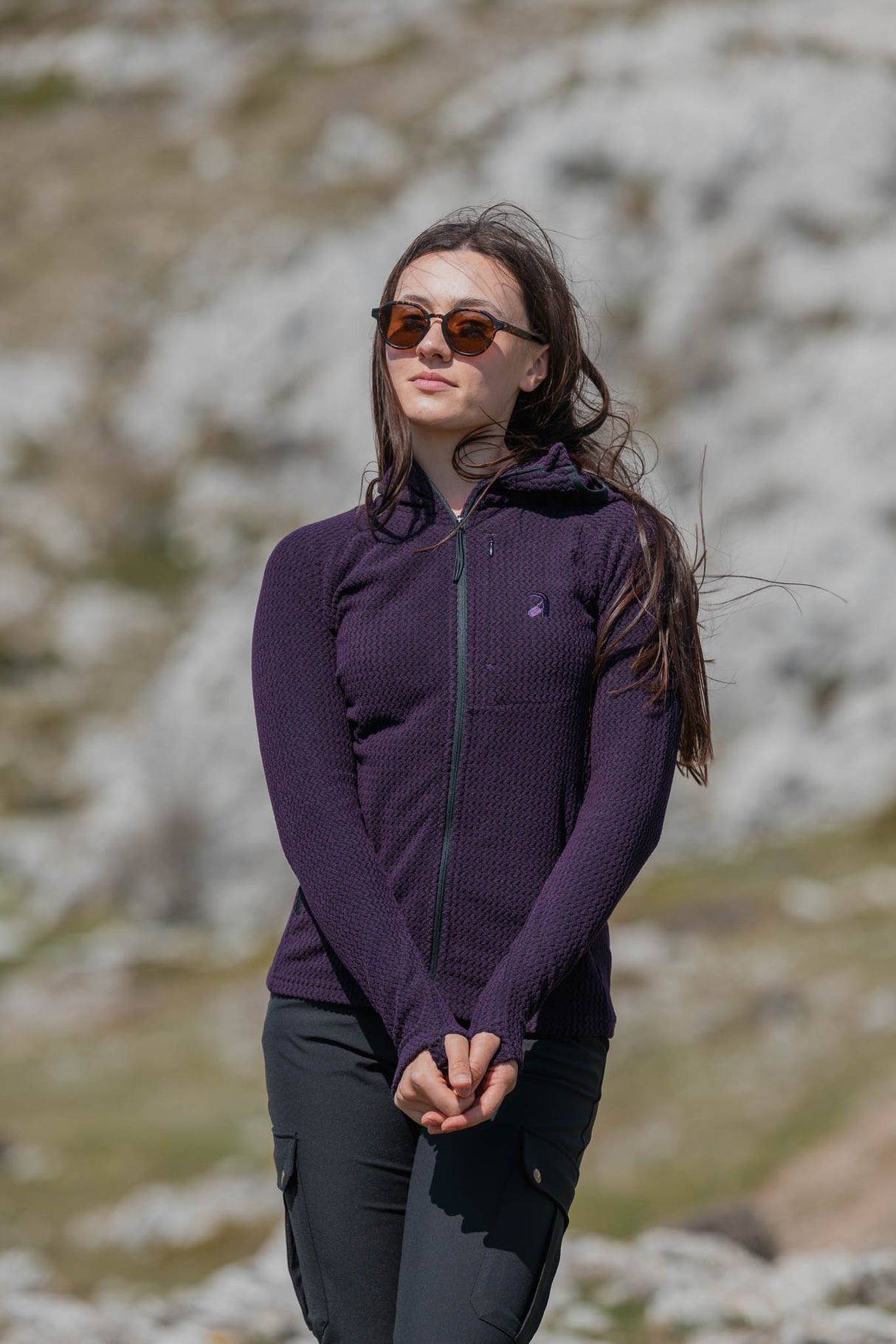 Vertex Hoody Dark Purple